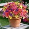 16 Bundles Colorful UV-Resistant Artificial Spring Flowers – Outdoor Faux Plants for Porch, Garden, and Window Boxes